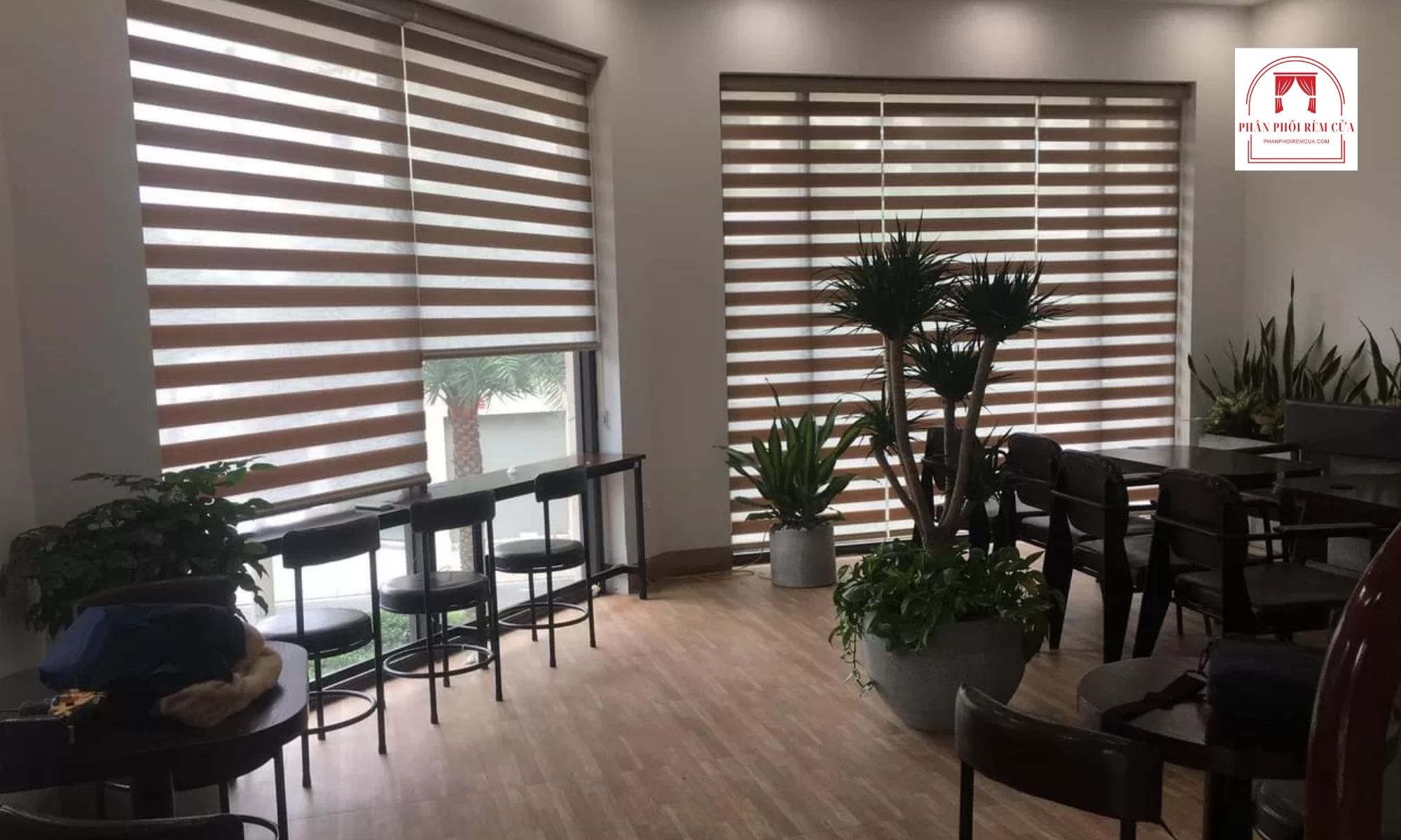 Rèm cầu vồng phòng khách: Lựa chọn màn cửa hiện đại cho mọi không gian